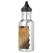 Bouteille D'eau Lion adorable (Droite)