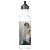 Bouteille D'eau Lion et lionne qui s'étourdissent (Gauche)