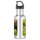Bouteille D'eau L'orignal (Dos)