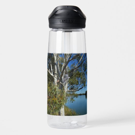 Bouteille D'eau L'Ours De Koala Dormait Dans Un Arbre De Gomme, (Arrière)