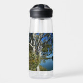 Bouteille D'eau L'Ours De Koala Dormait Dans Un Arbre De Gomme, (Avant)