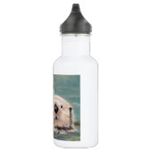 Bouteille D'eau Loutres de mer (Droite)