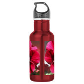 Bouteille D'eau Lucrezia (Dos)