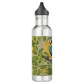 Bouteille D'eau Macaw Blue Jaune Tropical Jungle Antique (Gauche)