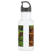 Bouteille D'eau Maisons à Auvers, Vincent van Gogh. Village (Dos)