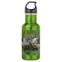 Marmottes