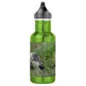 Bouteille D'eau Marmottes (Droite)