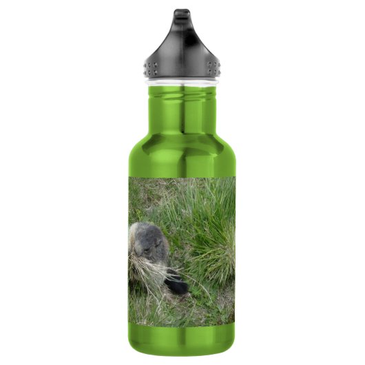 Bouteille D'eau Marmottes (Droite)