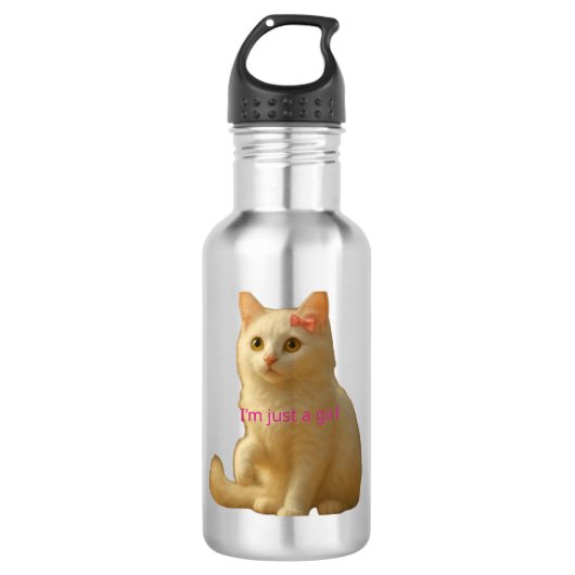 Bouteille D'eau Mème de chat à l'esthétique douce et féminine (Devant)