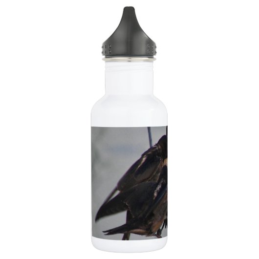 Bouteille D'eau Mère avaler (Gauche)