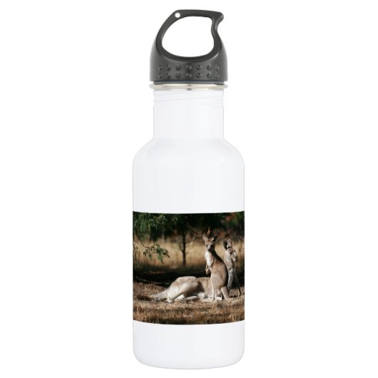 Bouteille D'eau Mère Kangaroo et Joey Relaxant (Devant)