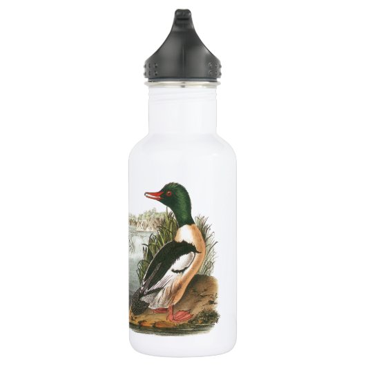 Bouteille D'eau Merganser commun par Audubon (Droite)