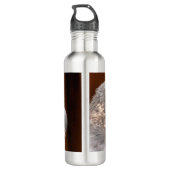 BOUTEILLE D'EAU MERLIN FALCON OISEAU DE PREY (Dos)