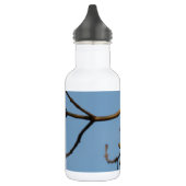 Bouteille D'eau Mésange bleue (Gauche)