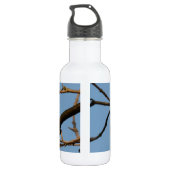 Bouteille D'eau Mésange bleue (Dos)