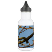 Bouteille D'eau Mésange bleue (Droite)
