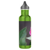 Bouteille D'eau mini rose foncé s'est levé (Gauche)