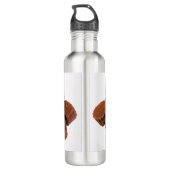 Bouteille D'eau Mini traitements au chocolat et à l'arachide (Dos)