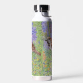 Bouteille D'eau Moineau domestique (Gauche)