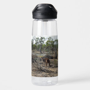 Bouteille D'eau Moment Tranquille : Kangourou Australien au Billab