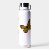 Bouteille D'eau Monarque chinois (Arrière)