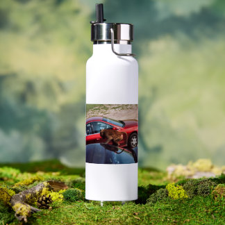 Bouteille D'eau Monkey Business