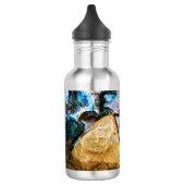 Bouteille D'eau nature abstraite eau morte (Gauche)