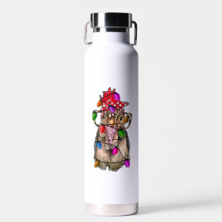 Bouteille D'eau Noël au poulet