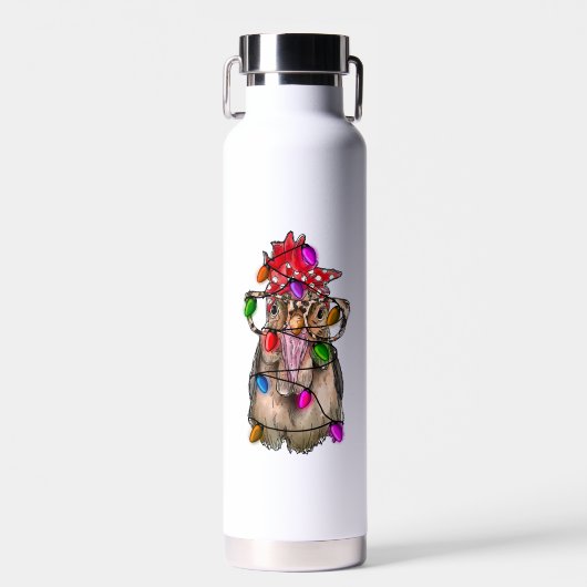 Bouteille D'eau Noël au poulet (Avant)