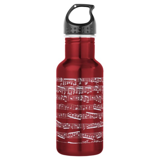 Bouteille D'eau Notes rouges de musique (Devant)