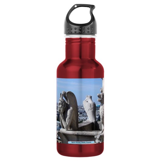 Bouteille D'eau Notre Dame, Paris, France (Devant)