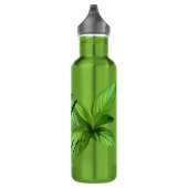 Bouteille D'eau Nous avons une huile pour cela -- Feuille de (Droite)