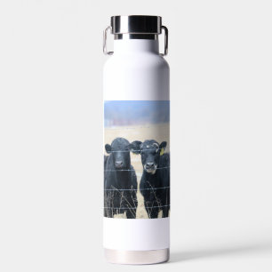 Bouteille D'eau Observateurs de Bovine