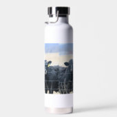 Bouteille D'eau Observateurs de Bovine (Plage)