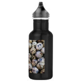 Bouteille D'eau Oeufs de caille (Droite)