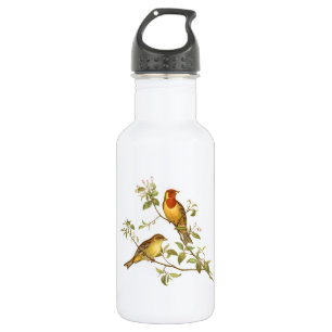 Bouteille D'eau Oiseaux vintages