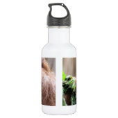 Bouteille D'eau OrangUtan005 (Dos)