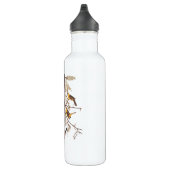 Bouteille D'eau Orchard Oriole Birds avec Nest Audubon (Droite)