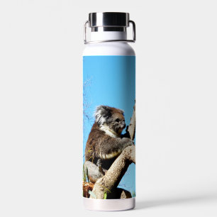Bouteille D'eau Ours De Koala Dans L'Ancien Pin,