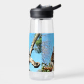Bouteille D'eau Ours De Koala Dans L'Ancien Pin, (Gauche)