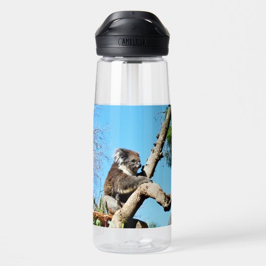 Bouteille D'eau Ours De Koala Dans L'Ancien Pin, (Arrière)