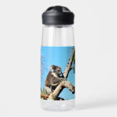 Bouteille D'eau Ours De Koala Dans L'Ancien Pin, (Avant)
