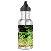 Bouteille D'eau Ours noir Alpha (Droite)