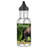 Bouteille D'eau Ours noir Alpha (Gauche)