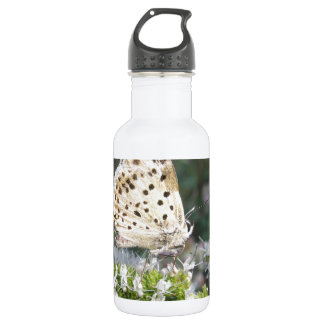 Bouteille D'eau Papillon Crème et Chocolat Époustouflant