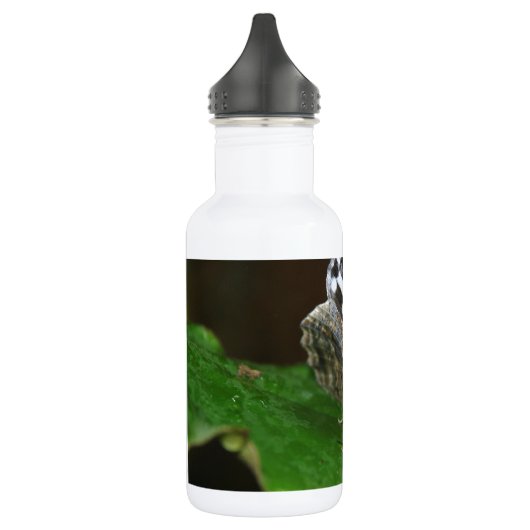 Bouteille D'eau Papillon noir et blanc (Gauche)