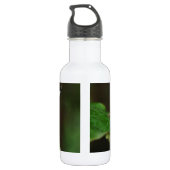 Bouteille D'eau Papillon noir et blanc (Dos)