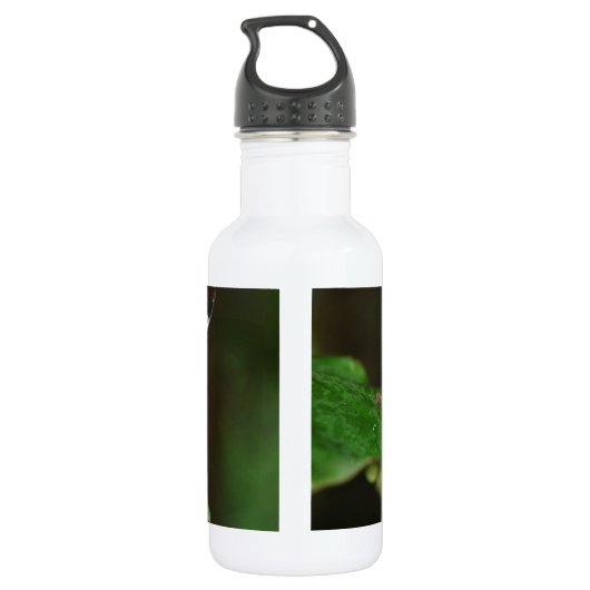 Bouteille D'eau Papillon noir et blanc (Dos)