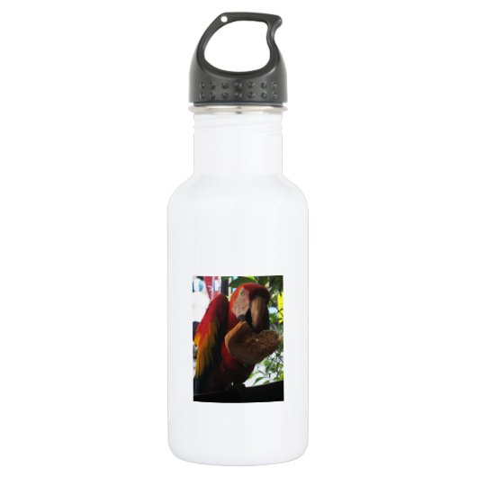 Bouteille D'eau Parrot Macaw Scarlet Manger Toast (Devant)