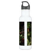 Bouteille D'eau Pavot gallois (orange) (Dos)